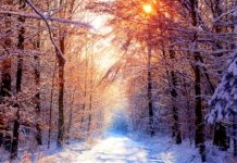 Работа в холодное время на открытой территории или неотапливаемых помещениях работа в холодное время на открытой территории