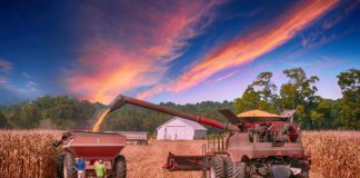 Инструкции по охране труда в сельском хозяйстве Инструкции по охране труда для сельского хозяйства