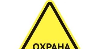 Служба охраны труда в организации